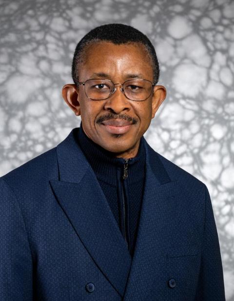 Ikenna M. Onovo