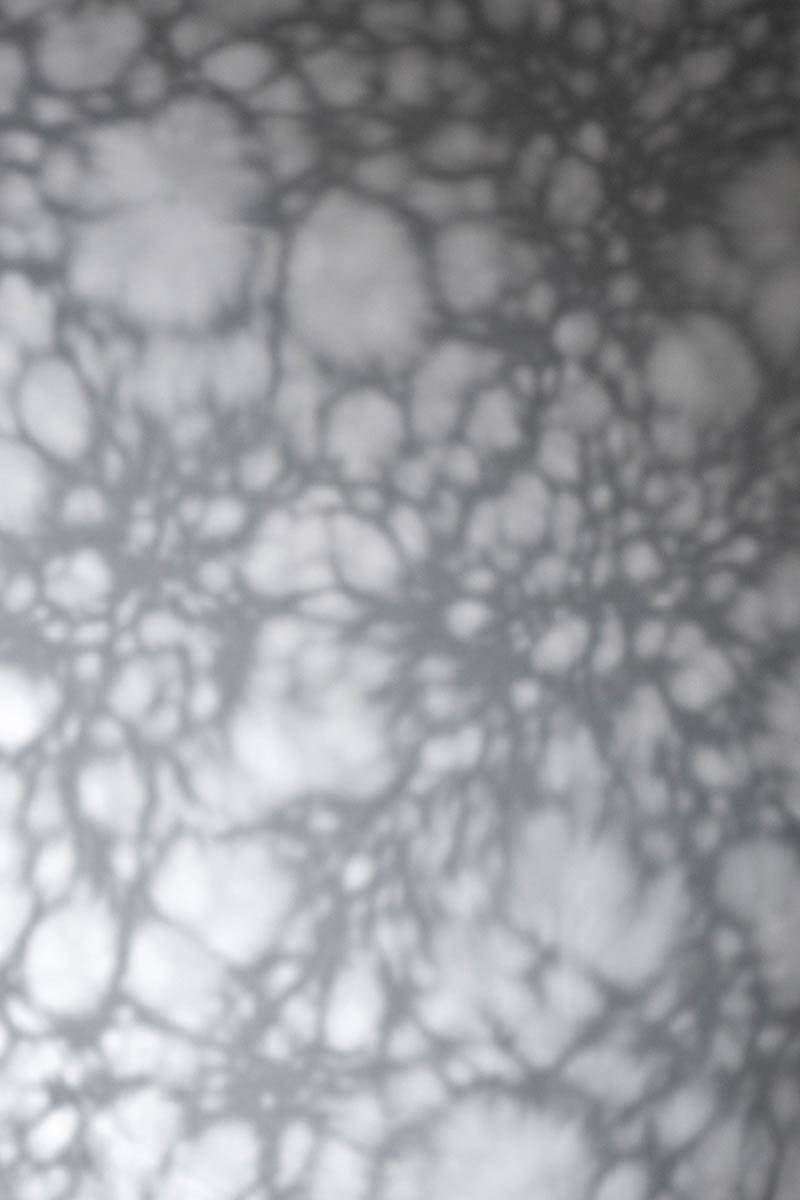 Maren Eckert